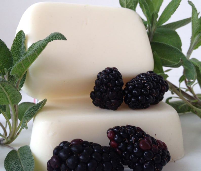 Blackberry Sage Goat's Milk Soap Set of 4 Fresh Herbal Unisex Fragrance image 2