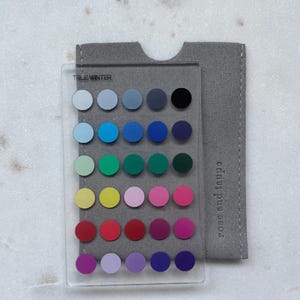 May include: A clear rectangular acrylic color palette card labeled TRUE WINTER featuring thirty circular color swatches arranged in six rows of five, accompanied by a gray felt sleeve with the text rose and taupe printed on it.