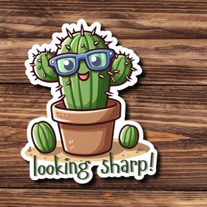 May include: A cartoon cactus wearing blue sunglasses and a happy expression. The cactus is in a brown pot and has two smaller cacti on either side. The text "looking sharp!" is written below the cactus.
