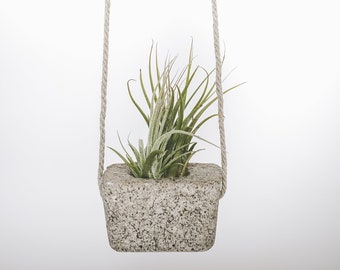 Square Hanging Air Plant Display in Charcoal Concrete