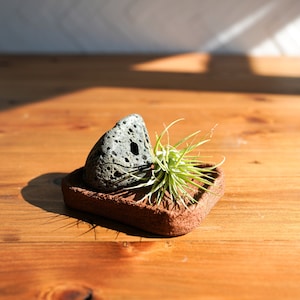 May include: A small air plant in a terracotta planter with a gray and black speckled rock. The planter is shaped like a triangle and the rock is resting on top of the planter.