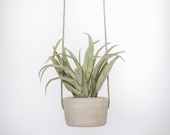 Round Concrete Hanging Air Plant Display