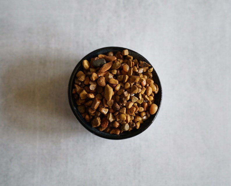 Gravel Top Dressing for Houseplants and Terrariums Etsy