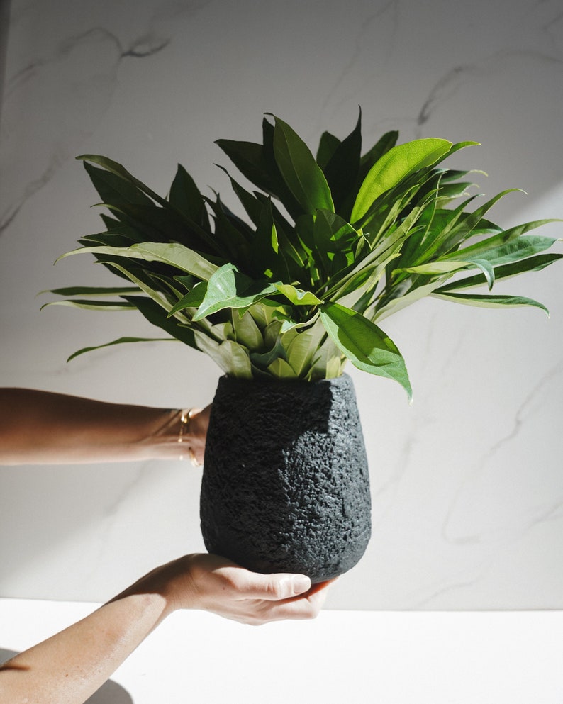 Large Pear Shaped Vase in Textured Carbon Black Concrete image 1