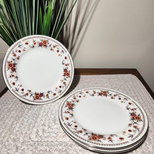 May include: Two white ceramic dessert plates with a floral pattern in shades of brown and red. The plates have a gold trim around the edge.