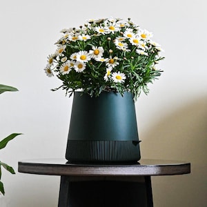 Peut inclure: Un pot vert foncé rempli de marguerites blanches à cœur jaune est posé sur une petite table d'appoint noire. La table a un dessus foncé et texturé et une base géométrique. Une plante en pot est visible en arrière-plan.