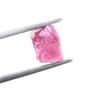May include: A raw, unpolished pink gemstone is held by silver tweezers against a white backdrop. The gemstone has a textured surface and a vibrant pink colour, with lighter pink and purple hues visible.