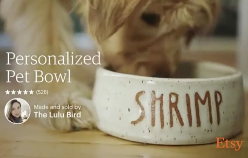 PREORDER: Customized Dog Bowl, white ceramic dog bowl, personalized pet bowl custom dog name pottery bowl ceramic pet bowl the Lulu bird image 7