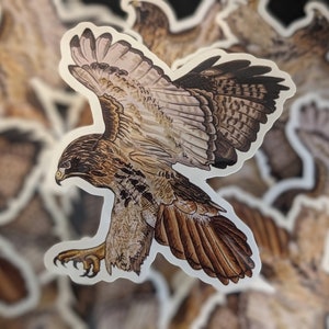 Redtail Hawk Dye Cut Vinyl Sticker - Wildlife - Redtail Hawk - Animal - Bird - Decal