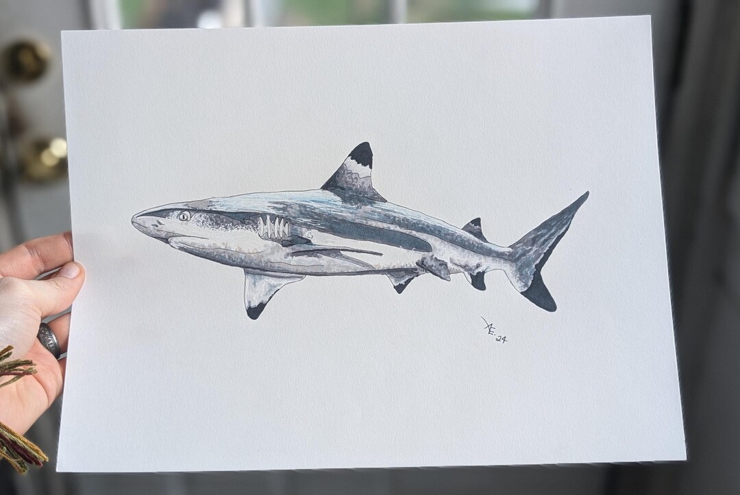 Black Tip Shark Art Print Drawing Alcohol Markers Wildlife