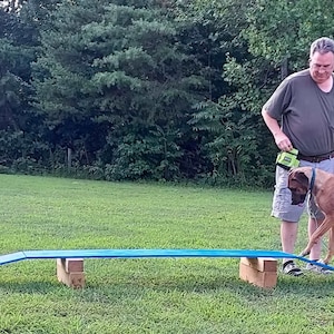 Training Dog Walk, folding (planks only) for any dog Sport including Agility, K9 IGP, Schutzhund, Working K9, Tricks, Gundog, & Conditioning