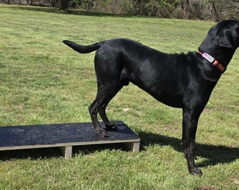 Dog Traveling Plank