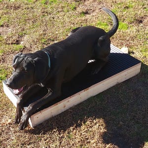 May include: A black dog lying on a wooden platform with a black rubber mat. The platform has a wooden frame and is raised off the ground.