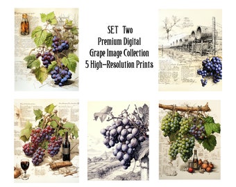 Premium Digital Grape Image Collection - 5 High-Resolution Prints SET TWO