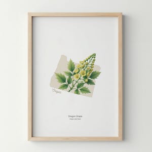 Oregon Flower Poster Art Print Oregon Grape Wall Art Flower Market Art Print Oregon Home Decor Botanical Poster