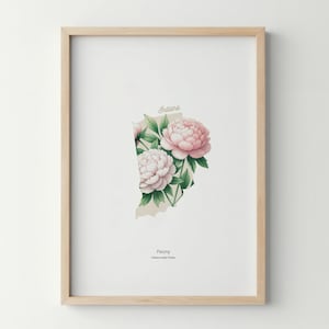 Póster de flores del estado de Indiana, impresión artística, arte de pared de peonías, impresión artística del mercado de flores, decoración del hogar de Indiana, póster botánico