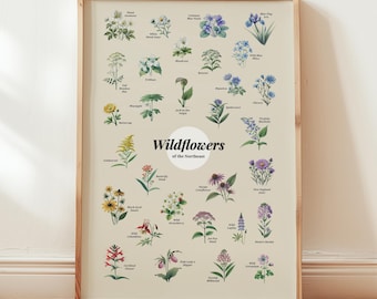 Wildflowers Northeast Poster Art Print Floral Wall Art Home Gift Decor Flowers Art Print New York Pennsylvania State Poster Wall Art