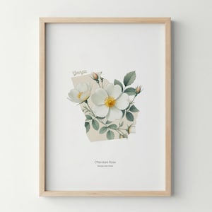 Georgia State Flower Poster Stampa artistica Cherokee Rose Wall Art Flower Market Stampa artistica Georgia Home Decor Botanical Poster