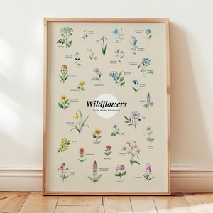 Póster de flores silvestres de las Montañas Rocosas, impresión artística, arte de pared floral, regalo para el hogar, decoración, impresión artística de flores, póster del estado de Colorado, Utah, Nevada, arte de pared
