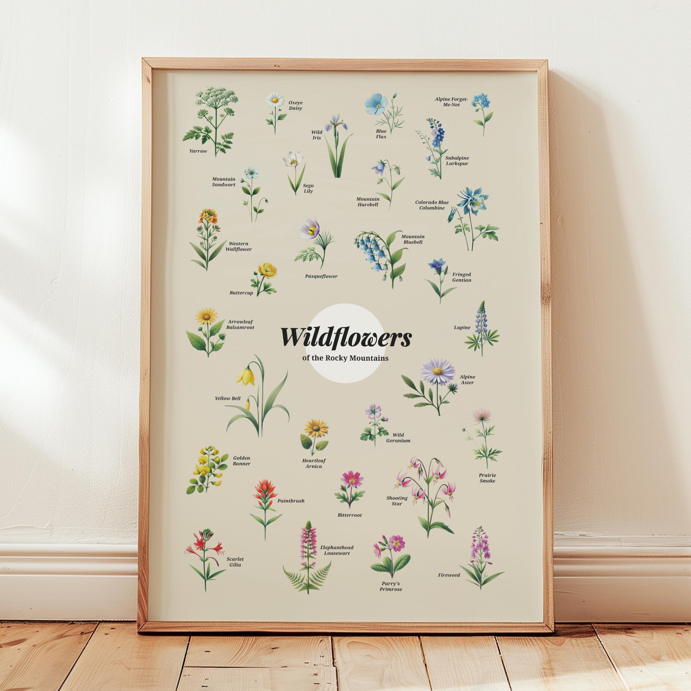 Wildflowers Rocky Mountain Poster Art Print Floral Wall Art Home Gift Decor Flowers Art Print Colorado Utah Nevada State Poster Wall Art