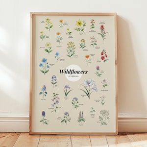Wilde bloemen Californië poster kunst print bloemen muur kunst cadeau decor bloemen kunst print woonkamer poster botanische muur kunst cadeau bewegen