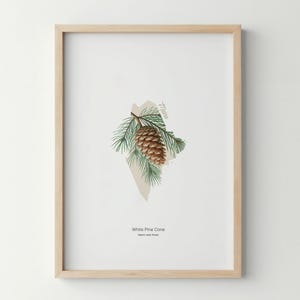 Maine Flower Poster Art Print White Pine Cone Wall Art Flower Market Art Print Maine Home Decor Botanical Poster