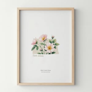 North Dakota Flower Poster Art Print Wild Prairie Rose Wall Art Flower Market Art Print North Dakota Home Decor Botanical Poster