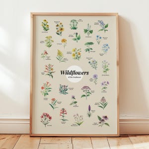 Wilde bloemen Zuidoost-poster Art Print bloemen kunst aan de muur Home cadeau decor bloemen Art Print Florida Georgia Carolina staat poster kunst aan de muur
