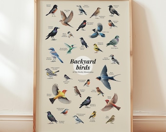 Backyard Birds Rocky Mountain Poster Art Print Bird Lover Gift Wall Art Toddler Kid Room Decor Colorado Utah Nevada State Poster Wall Art