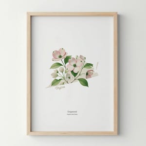 Virginia State Flower Poster Art Print Dogwood Wall Art Flower Market Art Print Virginia Home Decor Botanical Poster