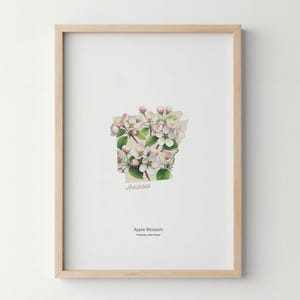 Arkansas Flower Poster Art Print Apple Blossom Wall Art Flower Market Art Print Arkansas Home Decor Botanical Poster
