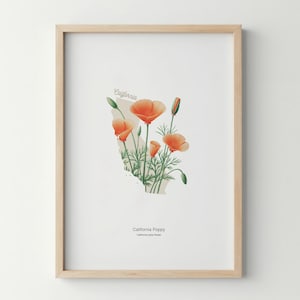 California State Flower Poster Art Print California Poppy Wall Art Flower Market Art Print California Home Decor Botanical Poster