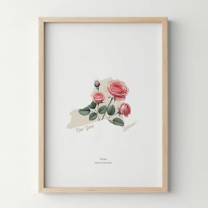New York State Flower Poster Art Print Rose Wall Art Flower Market Art Print New York Home Decor Botanical Poster