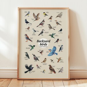 Póster de arte con diseño de pájaros del patio trasero del suroeste, regalo para amantes de las aves, arte de pared, decoración para habitación de niños pequeños, póster del estado de Texas, Arizona y Oklahoma