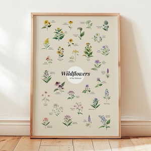Póster de flores silvestres del Medio Oeste, impresión artística, arte de pared floral, regalo para el hogar, decoración, impresión artística de flores, póster del estado de Illinois, Ohio, Michigan, Indiana, arte de pared