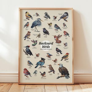 Póster de arte de pared con pájaros del patio trasero del noroeste del Pacífico, regalo para amantes de las aves, decoración para habitación de niños pequeños, póster del estado de Washington, Oregón