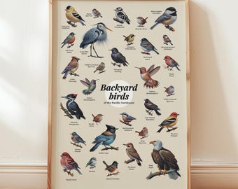 Backyard Birds Pacific Northwest Poster Art Print Bird Lover Gift Wall Art Toddler Kid Room Decor Washington Oregon State Poster Wall Art