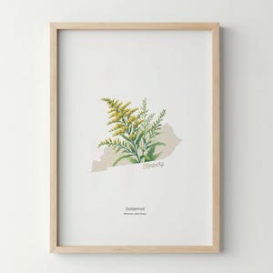 Kentucky Blumen Poster Art Print Goldrute Wand Kunst Blumenmarkt Kunstdruck Kentucky Home Decor Botanisches Poster