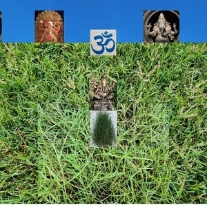 333 Durva Seeds DOOB Heliga DHOOB Indiska Doab Drow Garike Arugampul Lord Ganesha Favorit Ayurveda örtgräs