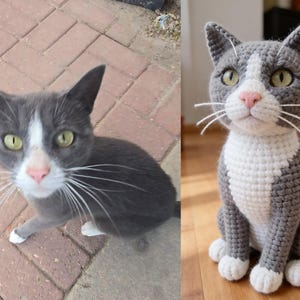 Könnte beinhalten: Ein direkter Vergleich einer lebenden grau-weißen Katze mit grünen Augen und einer gehäkelten Nachbildung derselben Katze. Das handgefertigte Stofftier besteht aus grauem und weißem Garn, hat eine rosa Nase und weiße Schnurrhaare.