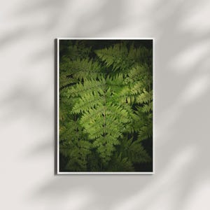 Lush Fern Print, plant prints, Moody Botanical, Botanical Wall Art, Wall Art Print, Dark Plant Wall Art, Landscape Plant Print, Downloadable