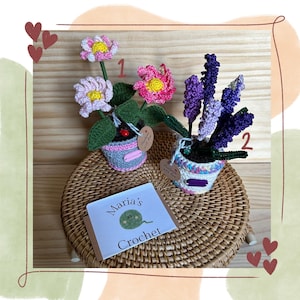 Crochet Potted Flowers, Handmade Crochet Home Decor, Crochet Flowers, Crochet Gifts