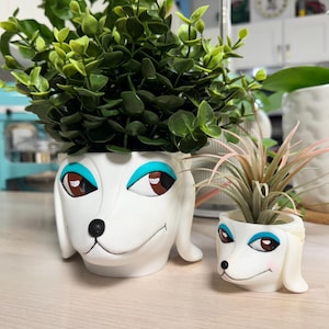 May include: Two white ceramic dog-shaped planters, one large and one small, each with green plants. The dog planters have brown and blue eye details and black noses. The larger planter holds a leafy green plant, while the smaller one has a pink-tinged air plant.