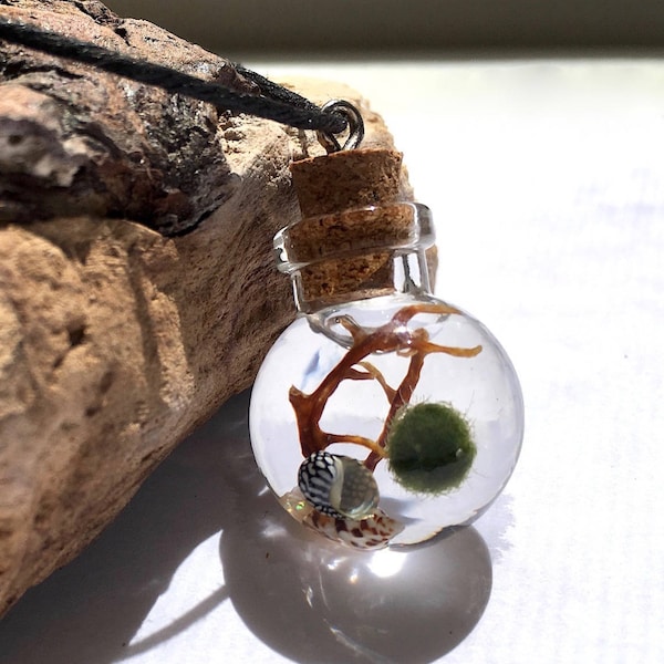 Terrarium Necklace Live Marimo Moss Ball Ecosphere Orb Terrarium Jewelry