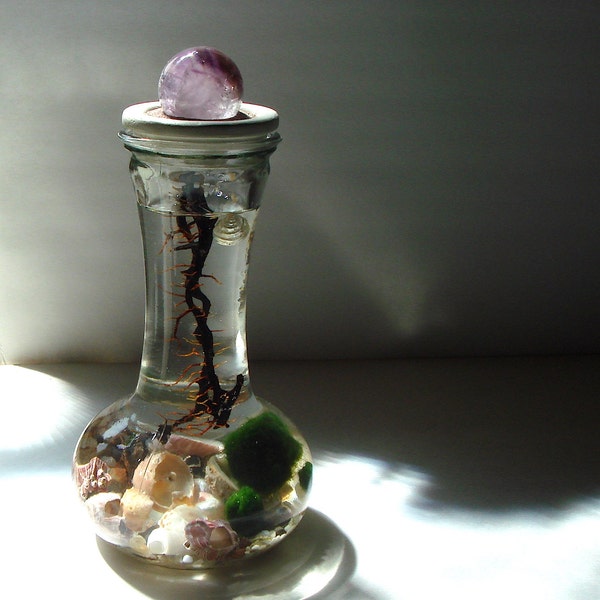 NEW! Stone Top. Marimo Ball. Unique. Terrarium with Pfeiffer Beach Sand and Amethyst Sphere
