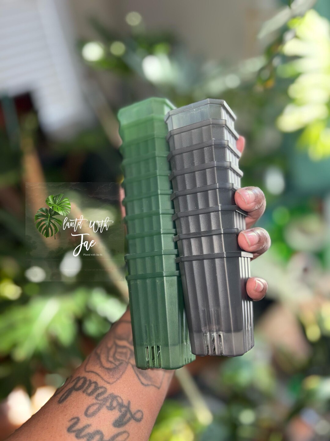 Transparent Plantlets Transparent Seedling Planters ADD ON ONLY - Etsy