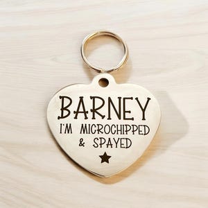 Engraved Pet ID Tag: Custom Dog & Cat Collar Tag