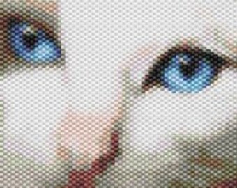 Blue Cat Eyes,  Beaded Tapestry Pattern
