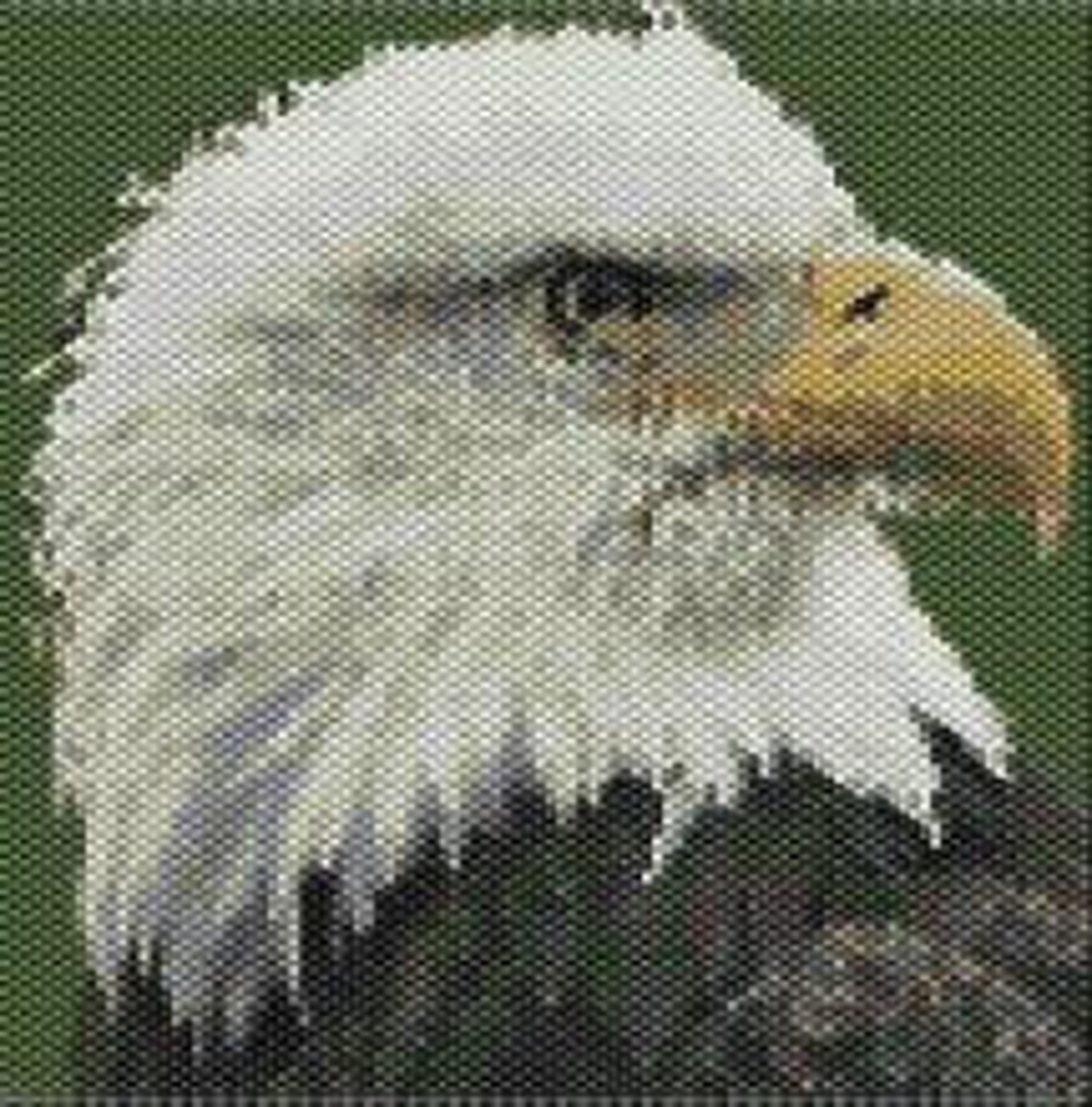Bald Eagle Head Beaded Tapestry Pattern Etsy