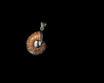 Ammonite Pendant, Sterling Silver, Opalized